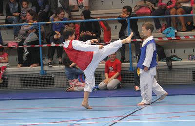 Deux cent quatre vingt taekwondistes au premier interclubs de Vénissieux Taekwondo