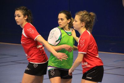 Handball_2012_13-6499.JPG